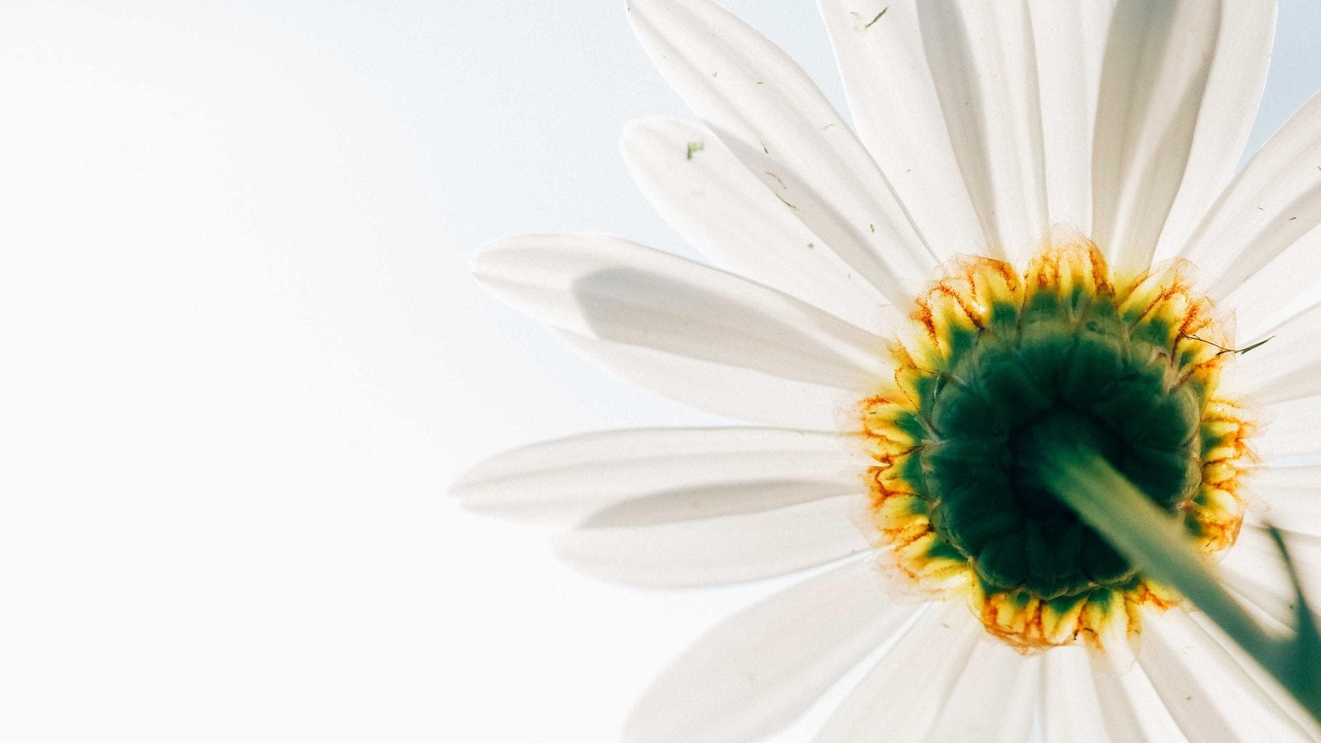 Advanced CNC Machining Facilities