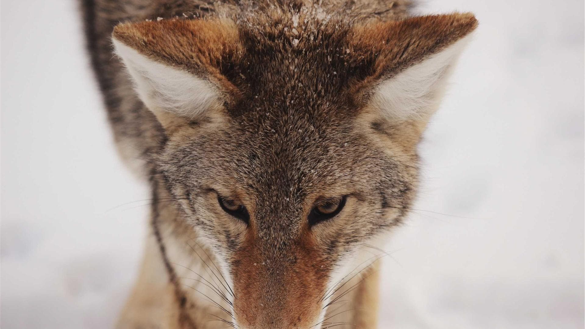 How CNC Swiss Machining Revolutionized Micro-Component Production