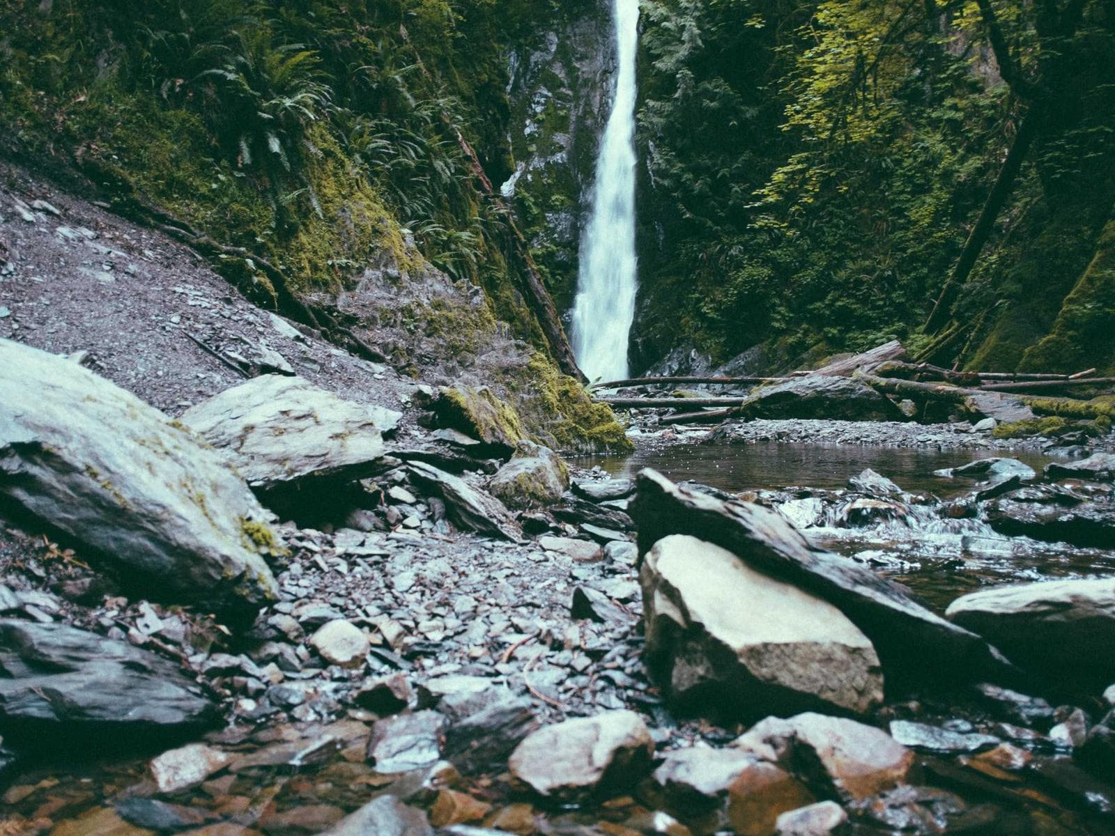 Brass Electrical Contacts