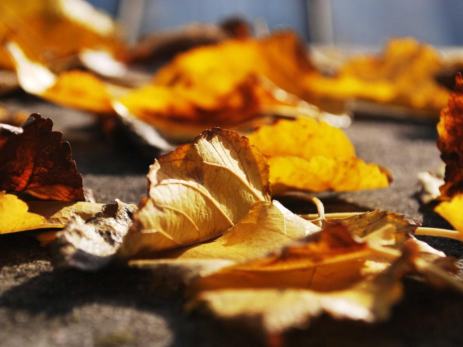 EV Metal Components (Electric Vehicle Machined Components)