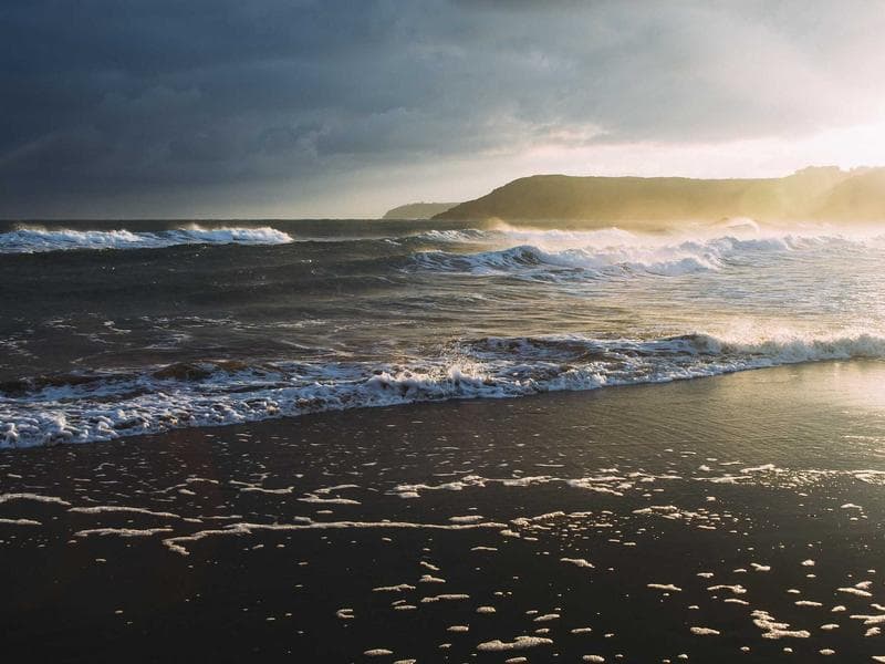 Export Logistics & Packaging