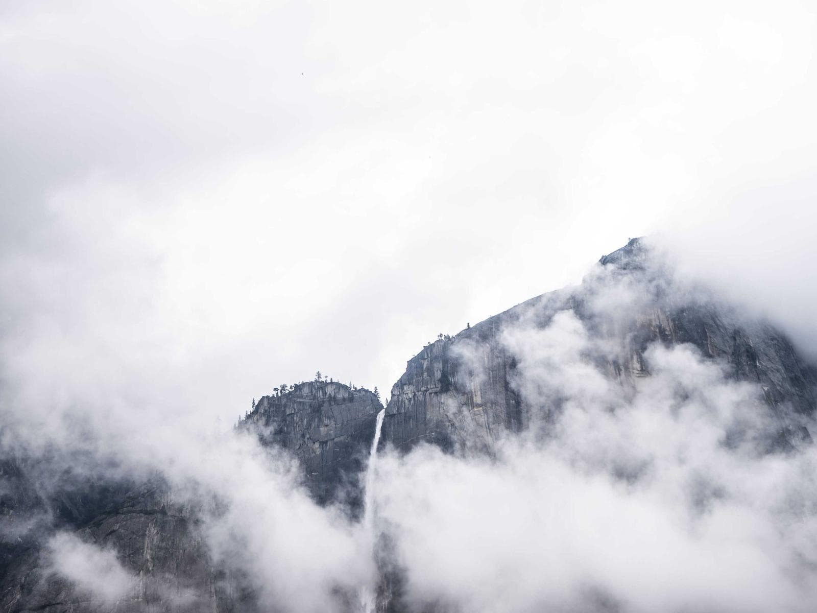 Brass Plumbing Fittings