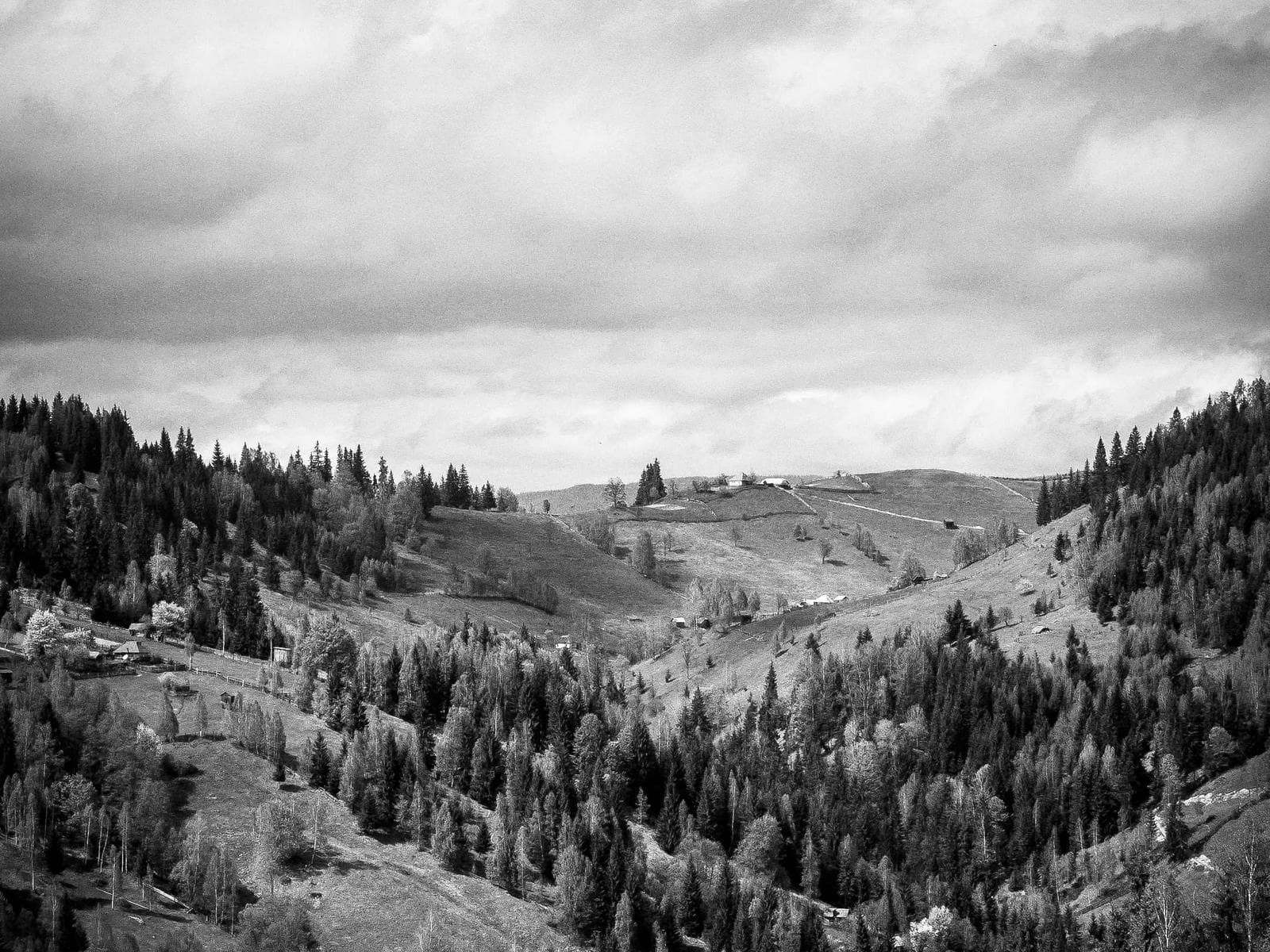 Stainless Steel Screws