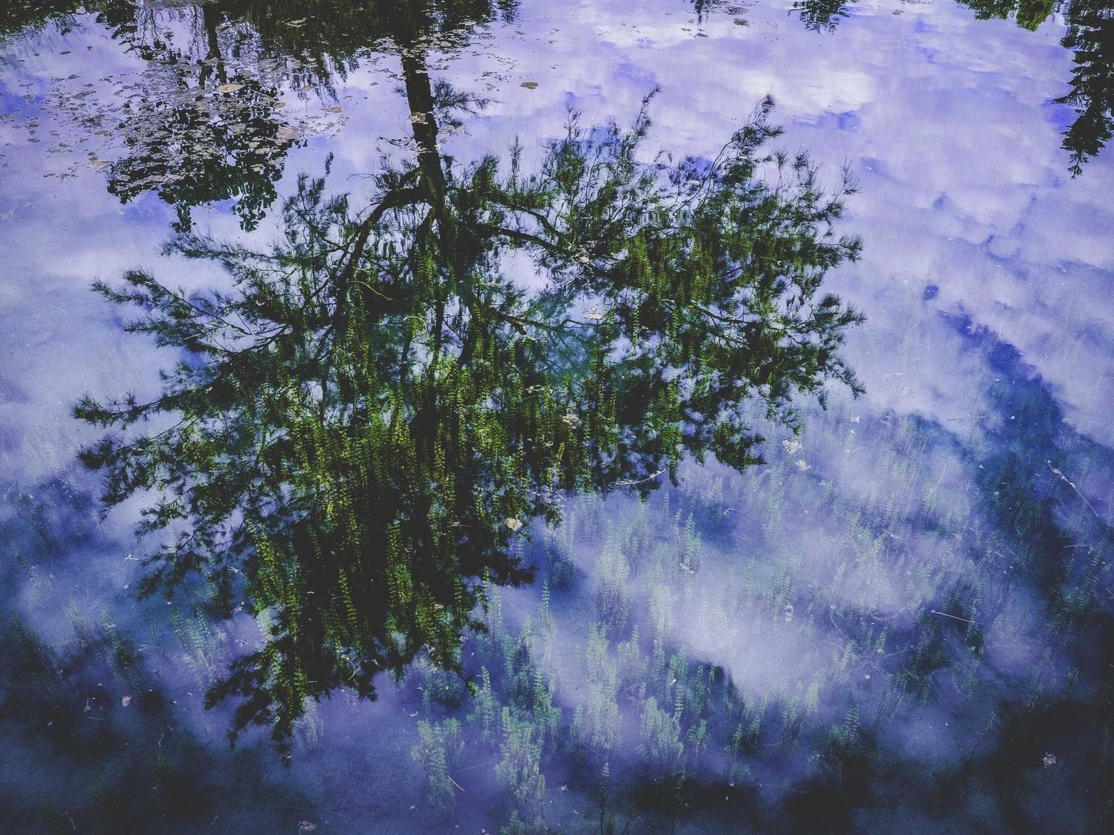 Brass Ceramic Valve Parts